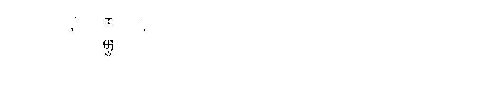 Fondo pagina - logo ergocert