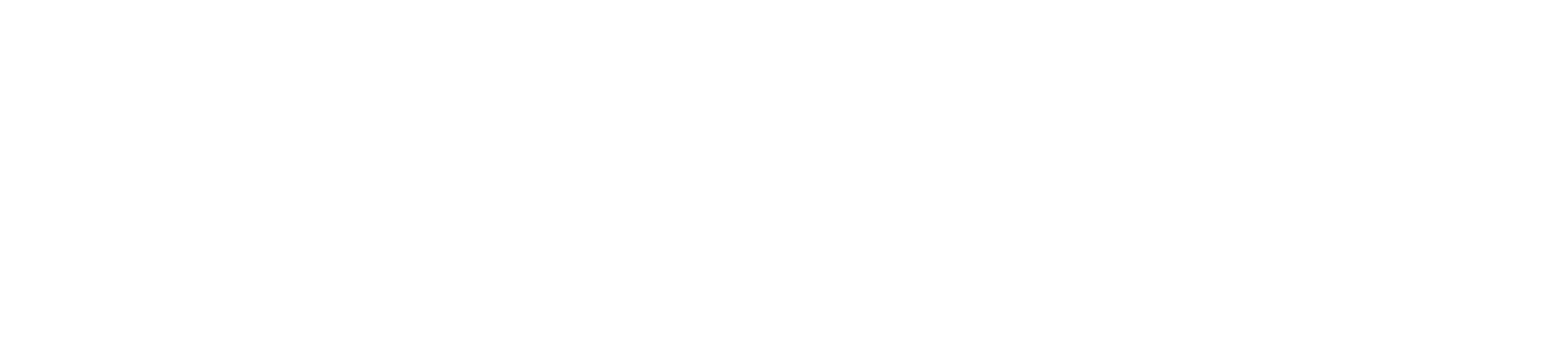 logo dispositivo medico